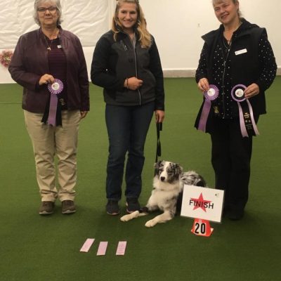 Thyme receiving her CARO Rally Novice Obedience Title. 